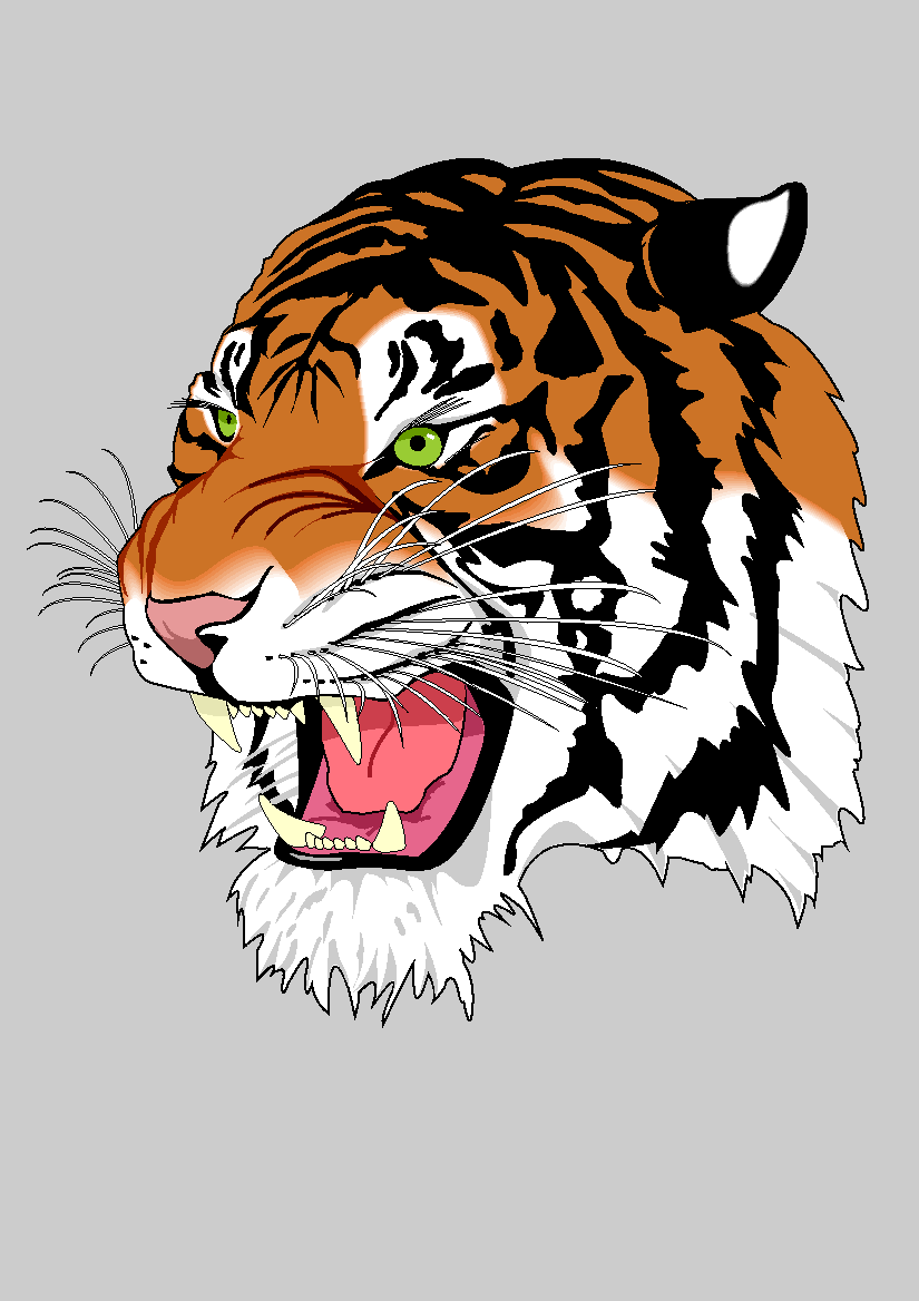 Tiger Project